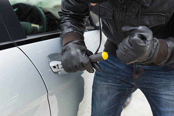 You should put theft and vandalism protection into action to safeguard your VIPs.