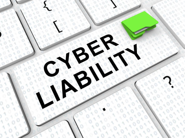 Cyber Liability Insurance of the Internet Era